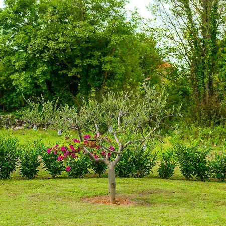 Appartamento Ariella